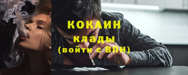 стаф Алзамай