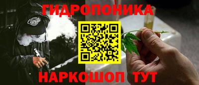 гидра Бийск