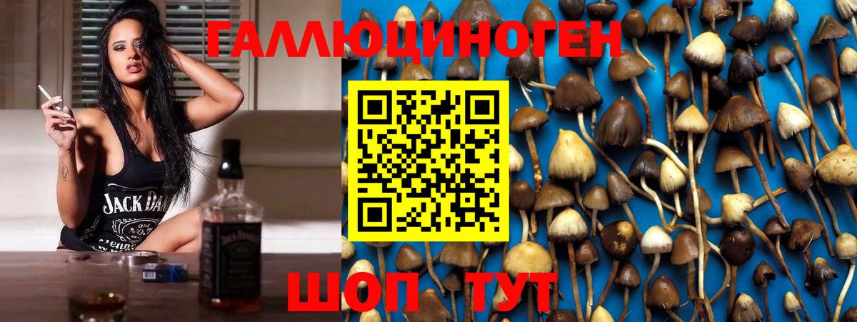 Псилоцибиновые грибы MAGIC MUSHROOMS  Вход с VPN  Десногорск 